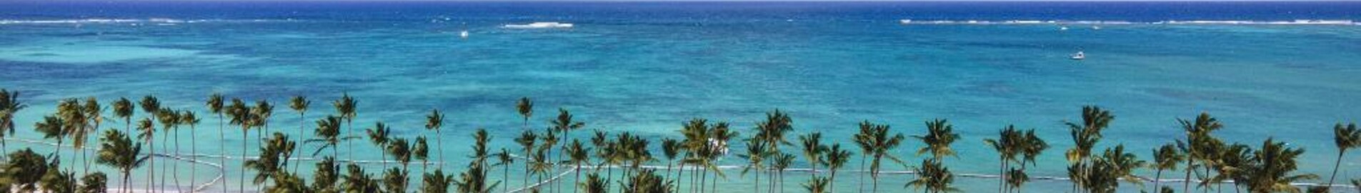 Palm Beach : alquiler de jet privado