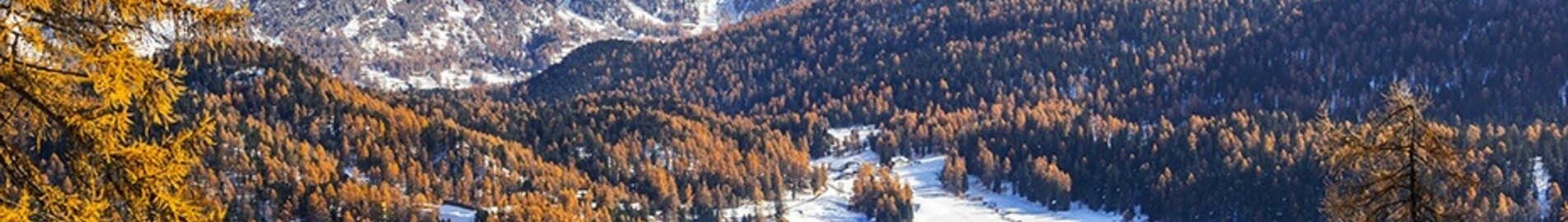 Saint-Tropez - Saint-Moritz Samedan : alquiler de jet privado