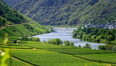 Viñedos europeos para visitar en jet privado