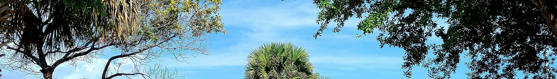 Los Angeles - Tampa: alquiler de jet privado