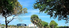 Los Angeles - Tampa: alquiler de jet privado