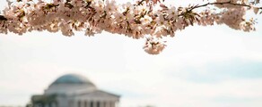 Las Vegas - Washington DC: alquiler de jet privado