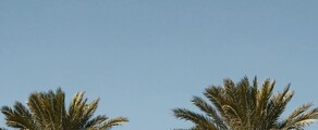 Houston - Orlando: alquiler de jet privado