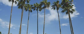 Nueva York - Tampa: alquiler de jet privado