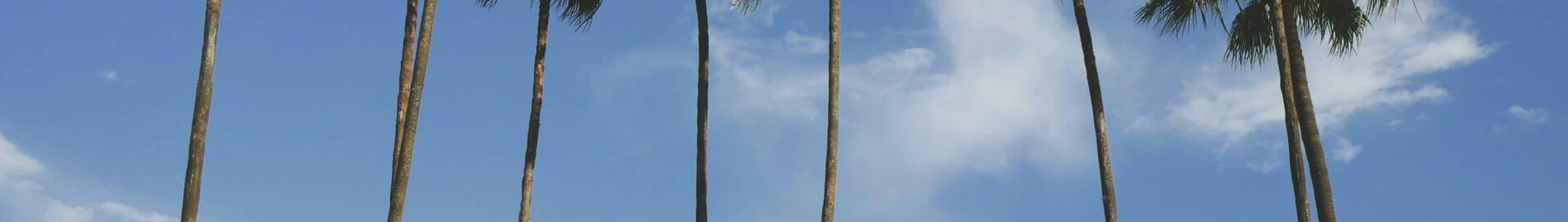 Los Angeles - Orlando: alquiler de jet privado