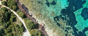 Fráncfort - Olbia: alquiler de jet privado