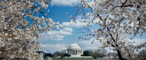 Nueva York - Washington DC: alquiler de jet privado