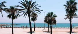 Francfort - Ajaccio: alquiler de jet privado