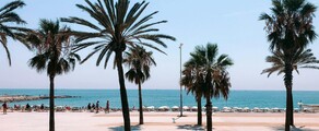 Fráncfort - Barcelona: alquiler de jet privado