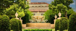 Houston - Palm beach: alquiler de jet privado