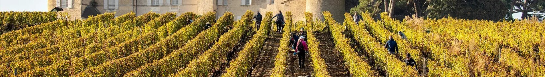 Viñedos de Burdeos: experiencia en helicóptero