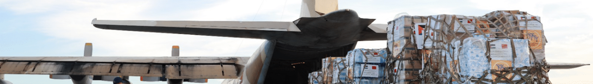 Alquilar un jet privado para una Organización No Gubernamental (ONG)
